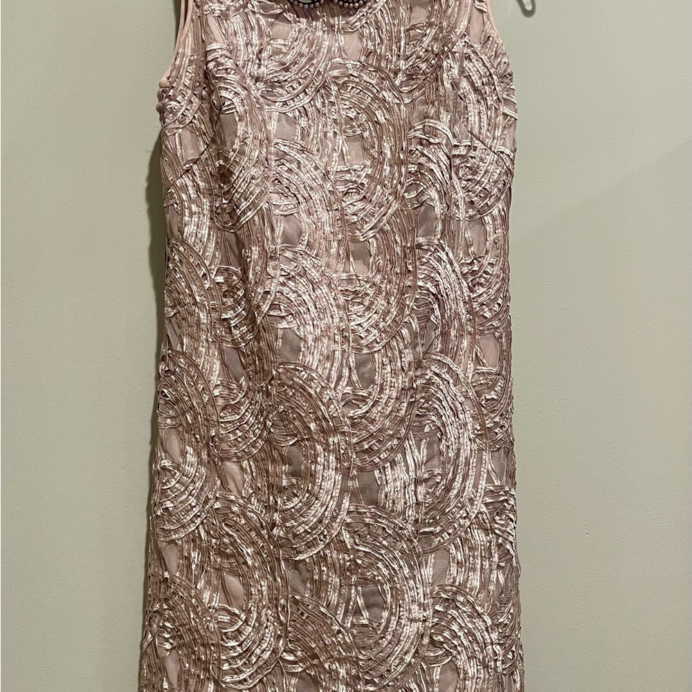 Adrianna Papell Blush Embroidered Mini Dress
